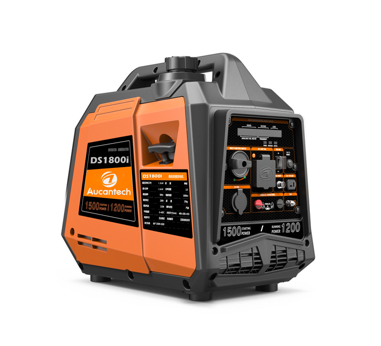 DS1300i
